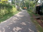 Land For Sale Miriswaththa Negombo Gampaha
