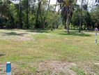 Land for Sale Molligoda