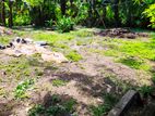 Land for Sale Molligoda Wadduwa