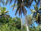 Land for Sale Monaragala