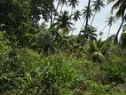 Land for Sale Monaragala,Buttala