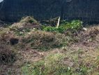 Land for Sale - Moratuwa/ Lakshapatiya