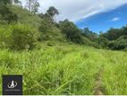 Land For Sale Mortuwa Old Gorkana Road (Dsp 2442 )