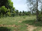 Land for sale mount lavinia