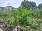 Land for Sale Mount Lavinia