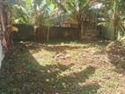 Land for Sale Mount Lavinia