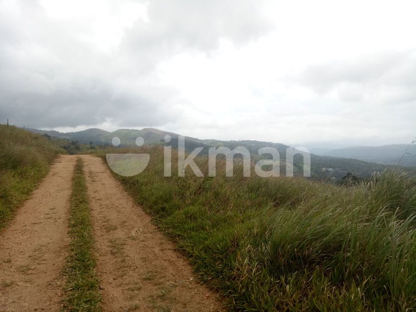 Land for Sale Mountain 360' View Delthota Nuwara Eliya ikman