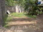 LAND FOR SALE MOUNTLAVANIA CHI2442