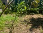 Land For Sale Mountlavinia