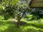 Land For Sale Mountlavinia