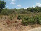 Land For Sale Mountlavinia