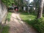 Land For Sale Muthuwadiya Seeduwa Gampaha