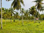 Land for Sale නාරම්මල