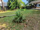 Land for Sale Nadimala