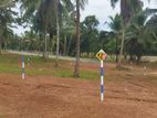 Land For Sale Naiwala