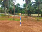 Land For Sale Naiwala