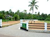 Land For Sale Naiwala