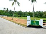 Land for Sale - Naiwala