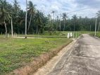 Land For Sale Naiwala