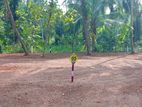 Land for Sale Nalla