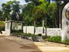 Land for Sale Narammala