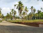 Land for Sale Narammala