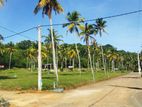 Land for Sale Narammala