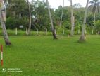 Land for Sale Narammala