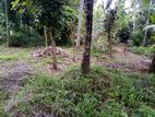 Land for Sale Narammala