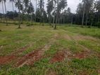 Land for Sale Narammala