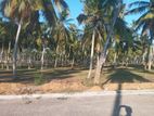Land for Sale Narammala