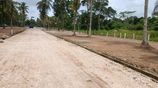 Land for Sale Narammala