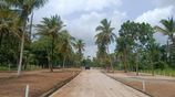 Land for Sale Narammala