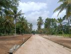 Land for Sale Narammala