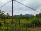 Land for Sale Narammala