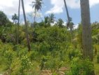 Land for Sale Narammala