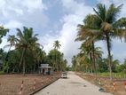 Land for Sale Narammala Town