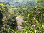 Land for sale Narampanawa