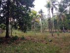 Land for Sale Narampola