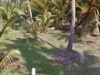 Land for Sale Narangalla