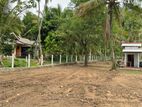 Land for Sale Naranmala City