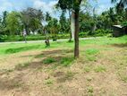 Land for Sale Naththandiya