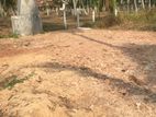 Land for Sale Nattandiya