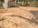 Land for Sale Nattandiya
