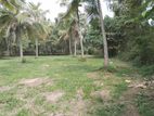 Land for Sale Nattandiya