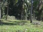 Land for Sale Nattandiya