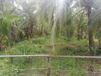 Land for Sale Nattandiya