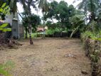 Land for Sale Nattandiya