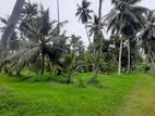 Land for Sale Nattandiya