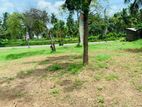 Land for Sale Nattandiya